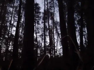 In the dark forest I fuck and cum in my girlfriend&#039;s mouth - Lesbian-illusion
