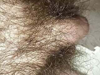 Extreme closeup view of my very long pubic hair around my flaccid uncut cock