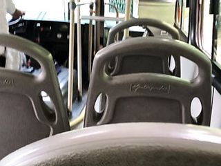Horny in the bus 