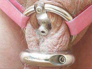 Dripping precum from my inverted chastity cage hands free