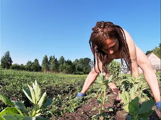 Farmer&#039;s Wife Masturbates in the Field