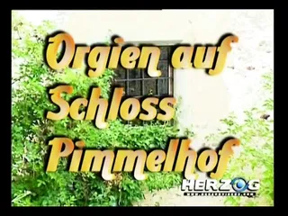Orgien auf Schloss Pimmelhof (1990s, German sound, full DVD)
