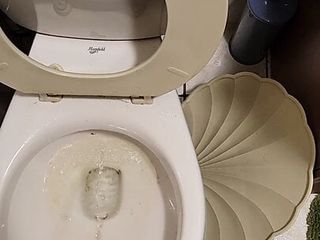 new apartment toilet piss