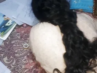 New Indian college hot girl ne apana tusion teacher ke sath kiya sex video upload by RedQueenRQ 
