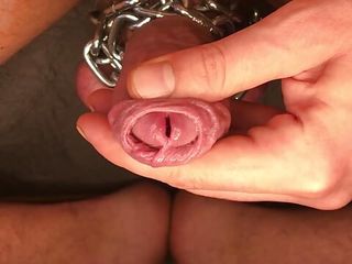 Chained Cock &amp; Balls, 2 Cumshots in a Row