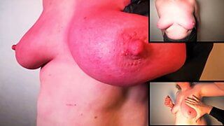 Red tits - triple view