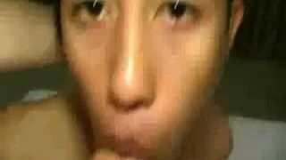 Gay Asian Brothel Whore Services Whte Customer