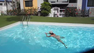adult dingo frisky swim