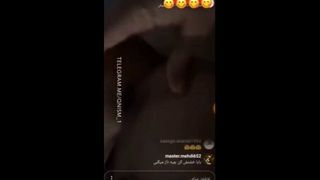 Amateur Arabic sex egypt 2