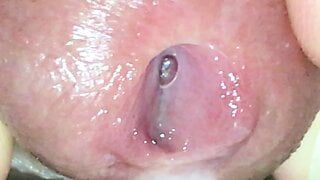 Ejaculation Super Close up (2)