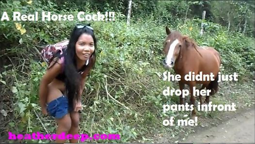 Thai Teen Peru to Ecuador horses to creampies