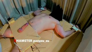 CFNM Femdom Sounding + Vibrator on Cock + Handjob + Ruined Orgasm