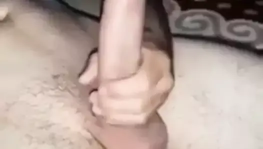 clip penis mare