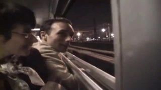 Sophia a mature ins stockings analfucked in a train