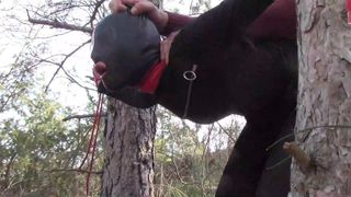 Tied up to a tree outdoors in sexy clothes and fucked hard