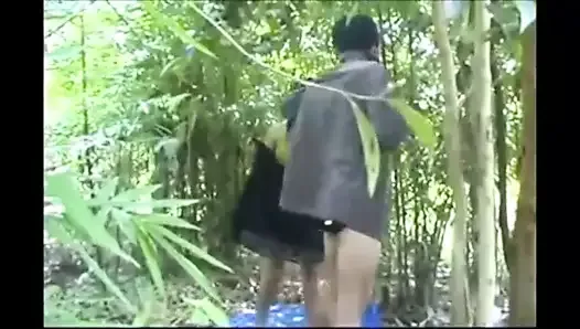 Hmong Tayland seks içinde the orman