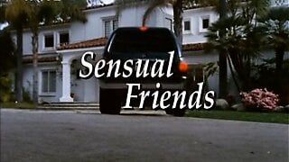 Skinemax movie - &#039;&#039;Sensual Friends&#039;&#039;