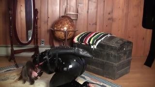 Elizabth Andrews Strapped and Panel Gagged in a Black Catsui