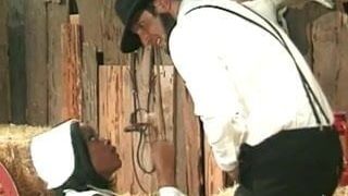 Amish farmer analyses a black maid