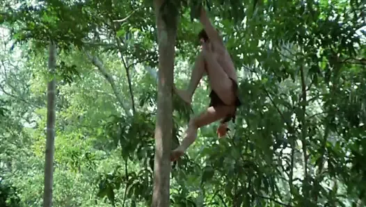 Jungle porno