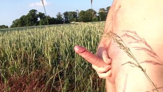 cumshot in the fields