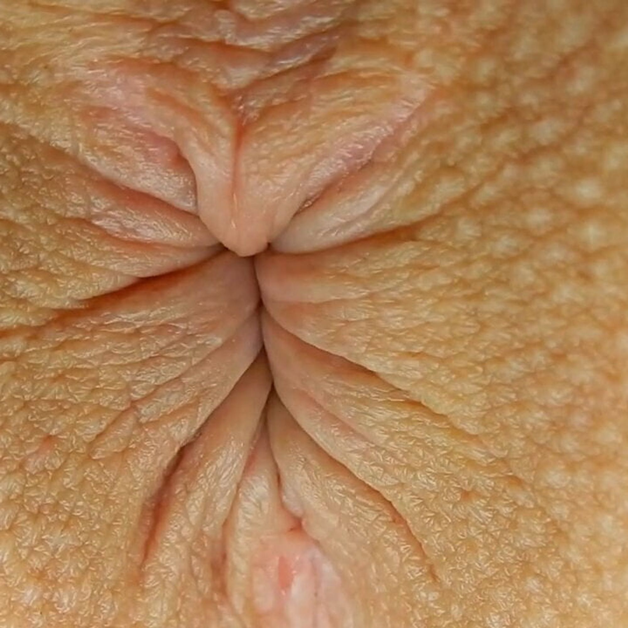 Close Up Threesome Fuck