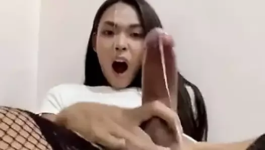 Beautiful Asian Shemale Dick Cumming - Free Asian Shemale Cum Porn Videos | xHamster