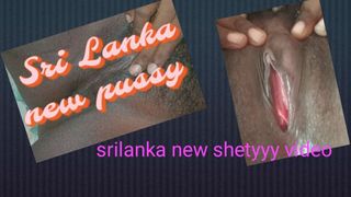 Шри-ланкийская домашняя жена, черная пухлая киска