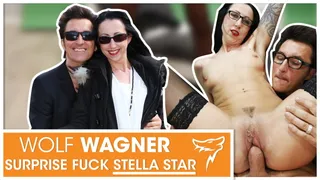 Stella Star abgeschleppt & im Stuhl gefickt! WolfWagner.com