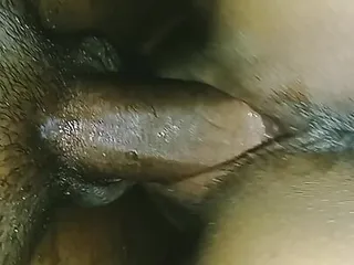 Doggy, Short, HD Videos, Doggy Style