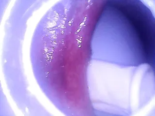 Ass Ass, Internal Camera, Trying Anal, Swallowed