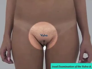 Vulva, Saggy Tits, Big Tits Milfs, Big Mom