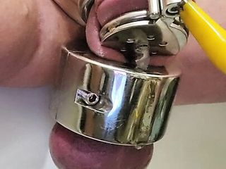 Humiliating Cum With Chastity And Stretched Balls...