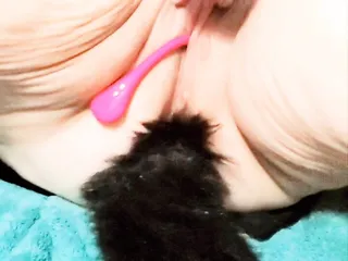 BBW Pretty MILF with kitten tail buttplug and Lush3 spreads Pussy and Plays with Hitachi