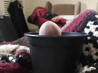 Strange Flower Pot