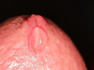 Extreme close-up of my dripping wet dick