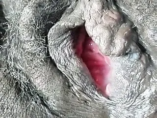 Gaping pregnant pussy...