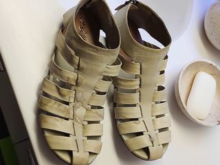 My wifes expensive new leather sandals...