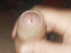 Wife fuck outside with other guys and hubby mastrubate at home 