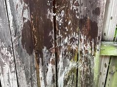 Boner peeing while jerking off on a fence outside