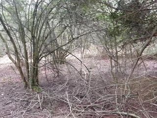 Jerking A Thick Bbc In The Woods