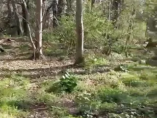 Lucky Stranger Getting A Wank From Me In The Woods Before I Take Him Home For Hard Fuck