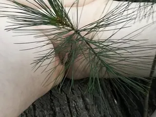 Tit Training And Whipping In The Woods