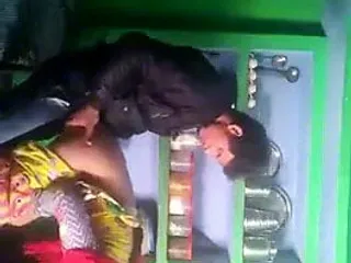 Anal, Pure, Pure Desi, Analed