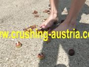 amber crushing outdoor