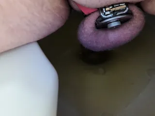 Pissing in Flat cage with a fat Innie cylinder 