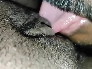 My Pussy, HD Videos, Made, Eat My Pussy