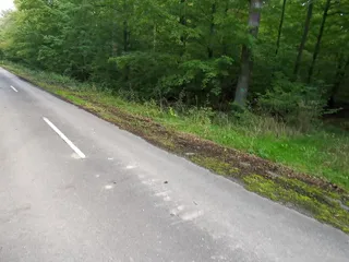 Titslapping middle of the road...