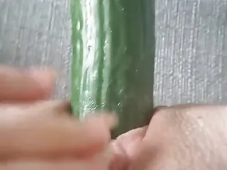Female Masturbation, Cucumber, European, Pussies