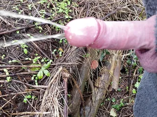 Hard Cock Pissing, Public Outdoor Cruising In The Woods - Rockard Daddy